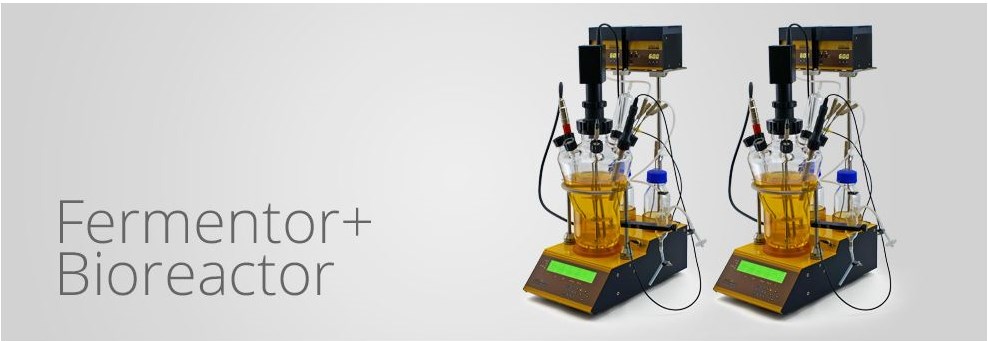 Bioreactor for cell culture and fermentation